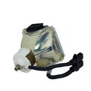 Liesegang LTOBDV500PUSH Ushio FP Lamps Bare