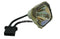 Sharp LTOBCLMPF0057DE01PUSH Ushio FP Lamps Bare