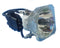 Ushio LTOBNSHA200AKPUSH Ushio FP Lamps Bare
