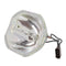 Panasonic LTOBPTD4000PUSH Ushio FP Lamps Bare