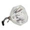 Panasonic LTOBPTD4000PUSH Ushio FP Lamps Bare