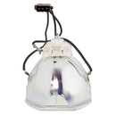Panasonic LTOBPTD4000PUSH Ushio FP Lamps Bare
