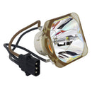 Canon LTOBSX800PUSH Ushio FP Lamps Bare