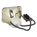 Canon LTOBSX800PUSH Ushio FP Lamps Bare