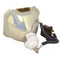 NEC LTOBGT95LPPUSH Ushio FP Lamps Bare