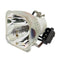 Claxan LTOBEX16025PUSH Ushio FP Lamps Bare