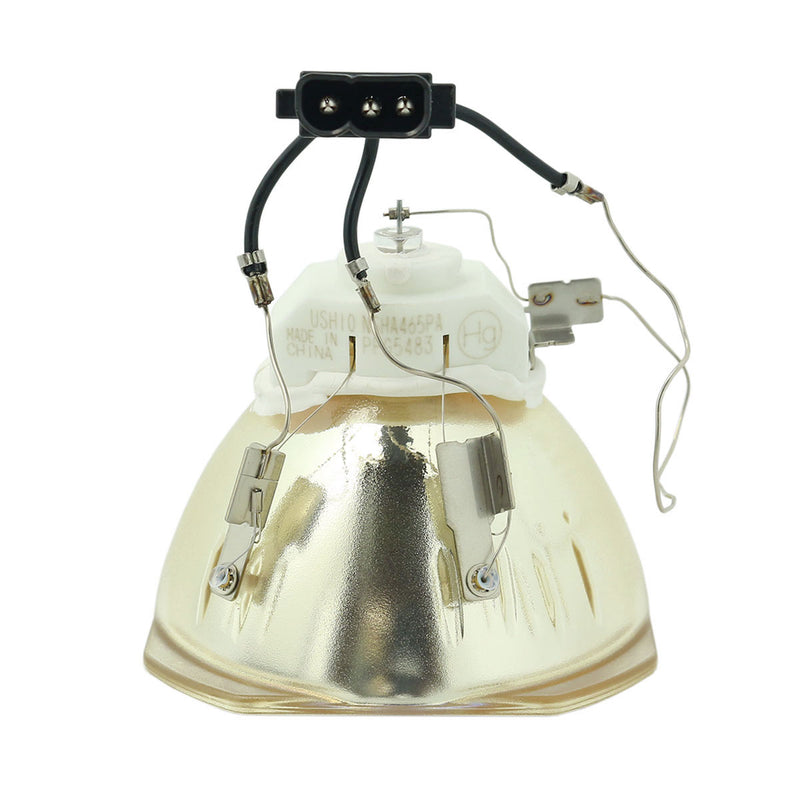 Panasonic LTOBPTDZ16KEPUSH Ushio FP Lamps Bare