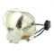 Panasonic LTOBPTDZ21KPUSH Ushio FP Lamps Bare