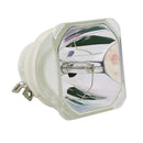 Promethean LTOBPRM30PUSH Ushio FP Lamps Bare