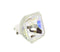NEC LTOBVT540PUSH Ushio FP Lamps Bare