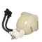 BenQ LTOBDS550PUSH Ushio FP Lamps Bare