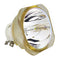 Panasonic LTOBPTAE8000PUSH Ushio FP Lamps Bare