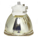 Panasonic LTOBPTAE8000PUSH Ushio FP Lamps Bare