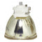 Panasonic LTOBPTAE8000PUSH Ushio FP Lamps Bare