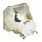 Panasonic LTOBPTAE8000PUSH Ushio FP Lamps Bare