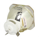 Panasonic LTOBPTAE8000PUSH Ushio FP Lamps Bare