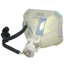 InFocus LTOBDP9525PUSH Ushio FP Lamps Bare