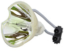 Polaroid LTOBPolaview315PUSH Ushio FP Lamps Bare