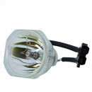 PLUS LTOBU5132PUSH Ushio FP Lamps Bare