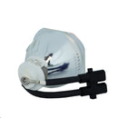 HP LTOBVP6220PUSH Ushio FP Lamps Bare