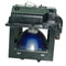 Toshiba LTOHD42LMPPPX Phoenix TV Lamps with Housing
