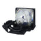Philips LTOH60PL9220DPPH Philips TV Lamps with Housing