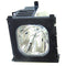 Liesegang LTOHZU0254044010PPH Philips FP Lamps with Housing