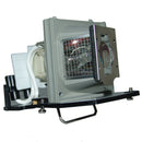 Optoma LTPRBLFP230APOS