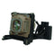 BenQ LTOHPB8230PPH Philips FP Lamps with Housing
