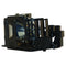 Sanyo LTOHPLCXU74POS Philips FP Lamps with Housing