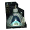 Toshiba LTOHTLP680PPH Philips FP Lamps with Housing