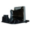Toshiba LTOHTDPT9PPH Philips FP Lamps with Housing