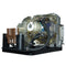Toshiba LTOHTDPTW350PPH Philips FP Lamps with Housing