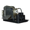 Toshiba LTPRTDPTW300PPH