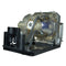 Toshiba LTOHTDPTW300PPH Philips FP Lamps with Housing