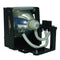 Sony LTOHVPLHS10PPH Philips FP Lamps with Housing