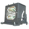 Sony LTOHVPLVW40PPH Philips FP Lamps with Housing