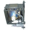 Sony LTOHVPLVW40PPH Philips FP Lamps with Housing