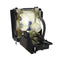 Sharp LTOHBQCXGC50X1PPH Philips FP Lamps with Housing