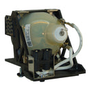 ProjectionDesign LTOHCompactHD42PPH Philips FP Lamps with Housing