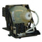 ProjectionDesign LTOHCompactHD42PPH Philips FP Lamps with Housing