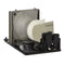 Optoma LTOHBLFS220APOS Osram FP Lamps with Housing