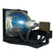 Boxlight LTOHCPX10T930PPH Philips FP Lamps with Housing