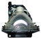 Toshiba LTOHTLP791PPH Philips FP Lamps with Housing