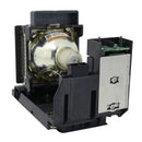 Sanyo LTOHPDGDHT100LPPH Philips FP Lamps with Housing