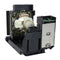 Sanyo LTOHPDGDET100LPPH Philips FP Lamps with Housing