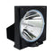 Epson LTOHPowerlite3500PPH Philips FP Lamps with Housing
