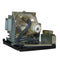 Optoma LTPRTX779P3DPPH