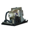 Optoma LTOHTX779P3DPPH Philips FP Lamps with Housing
