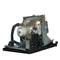 BenQ LTPRSP540PPH